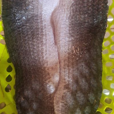 Bước 1