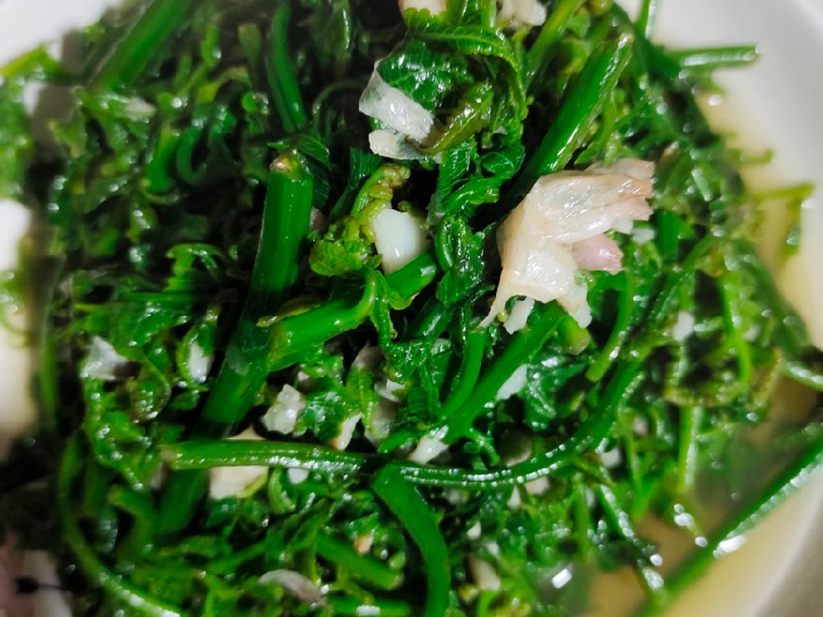 Rau dớn xào tỏi