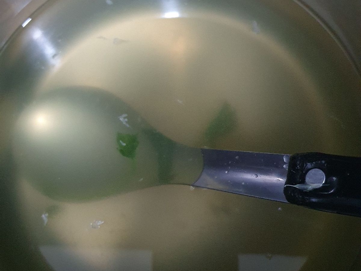 Canh nước luộc rau muống (cách nêm siêu dễ)