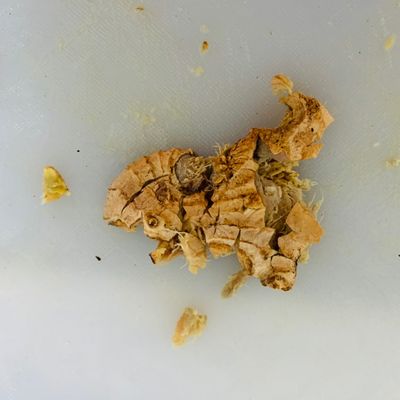 Bước 2