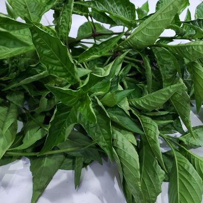 Bước 1