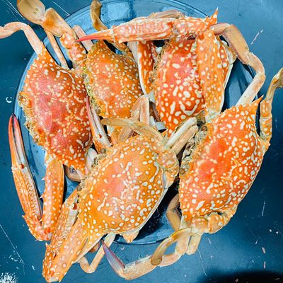 Bước 5