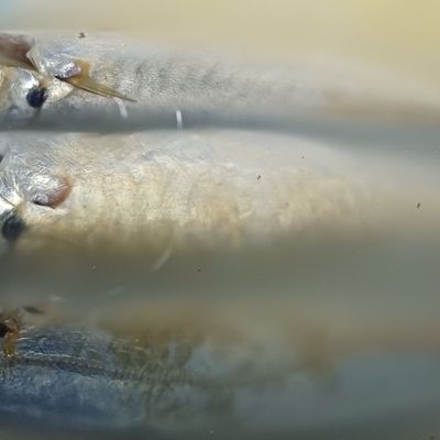Bước 1