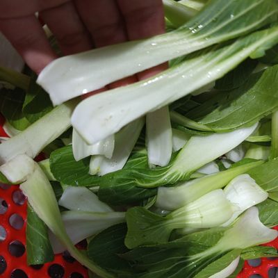 Bước 1