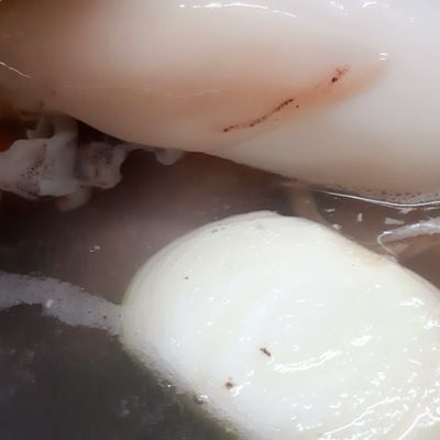 Bước 5