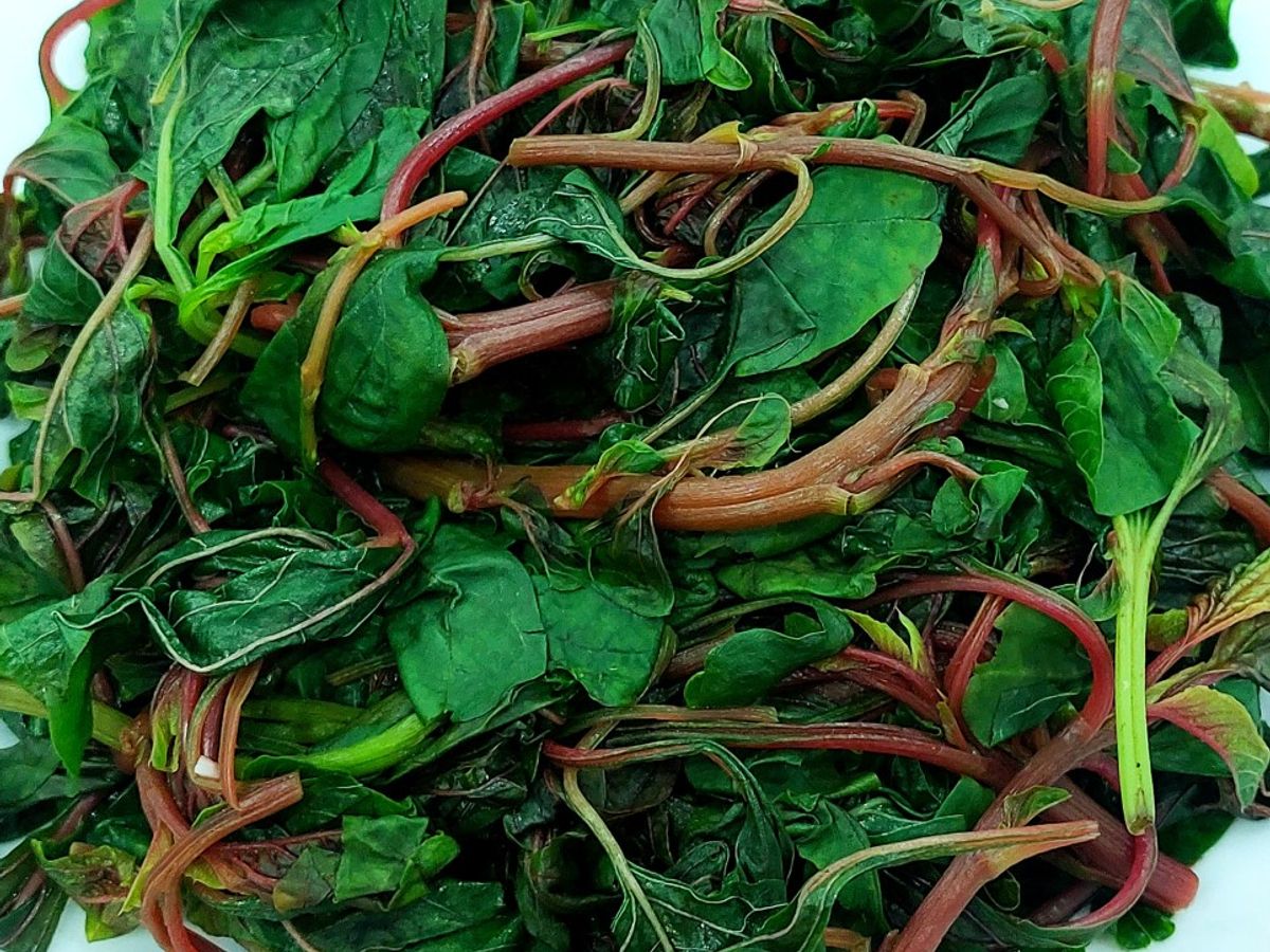 Rau dền luộc