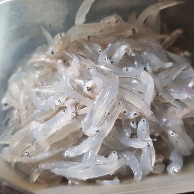 Bước 1