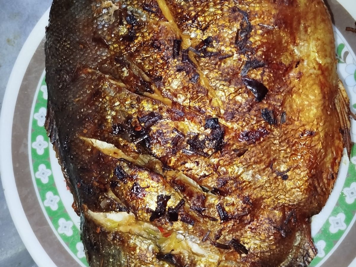 Cá chim nướng muối ớt