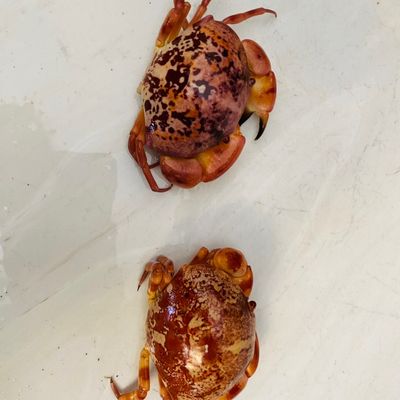 Bước 1
