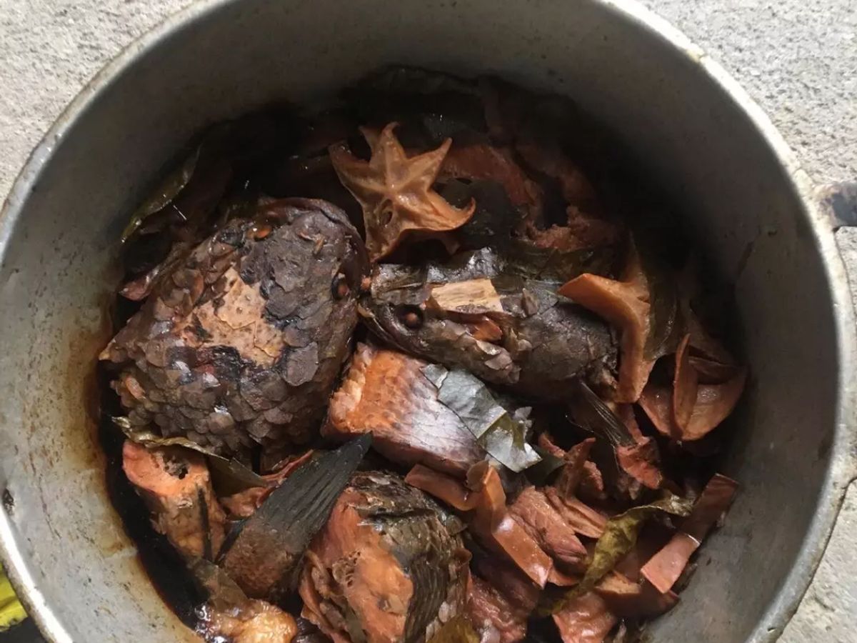 Cá quả kho khế chua và trà xanh