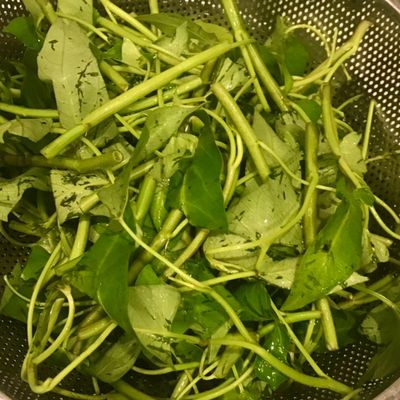 Bước 1