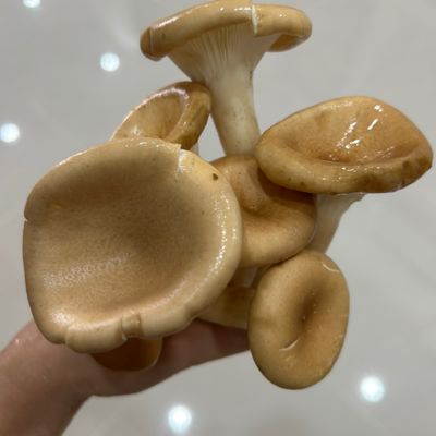 Bước 1