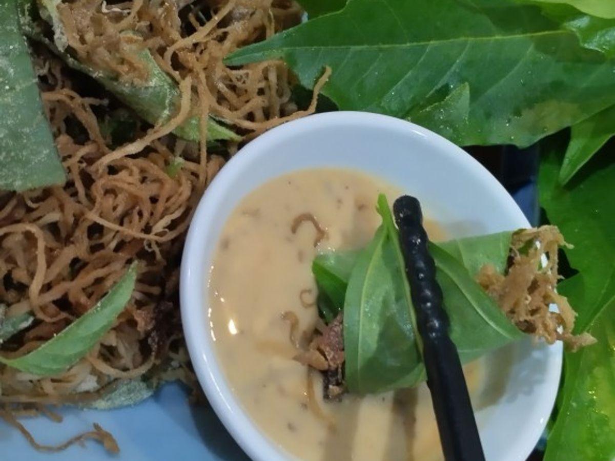 Nấm thính cuốn lá sung