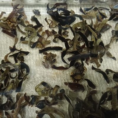 Bước 1