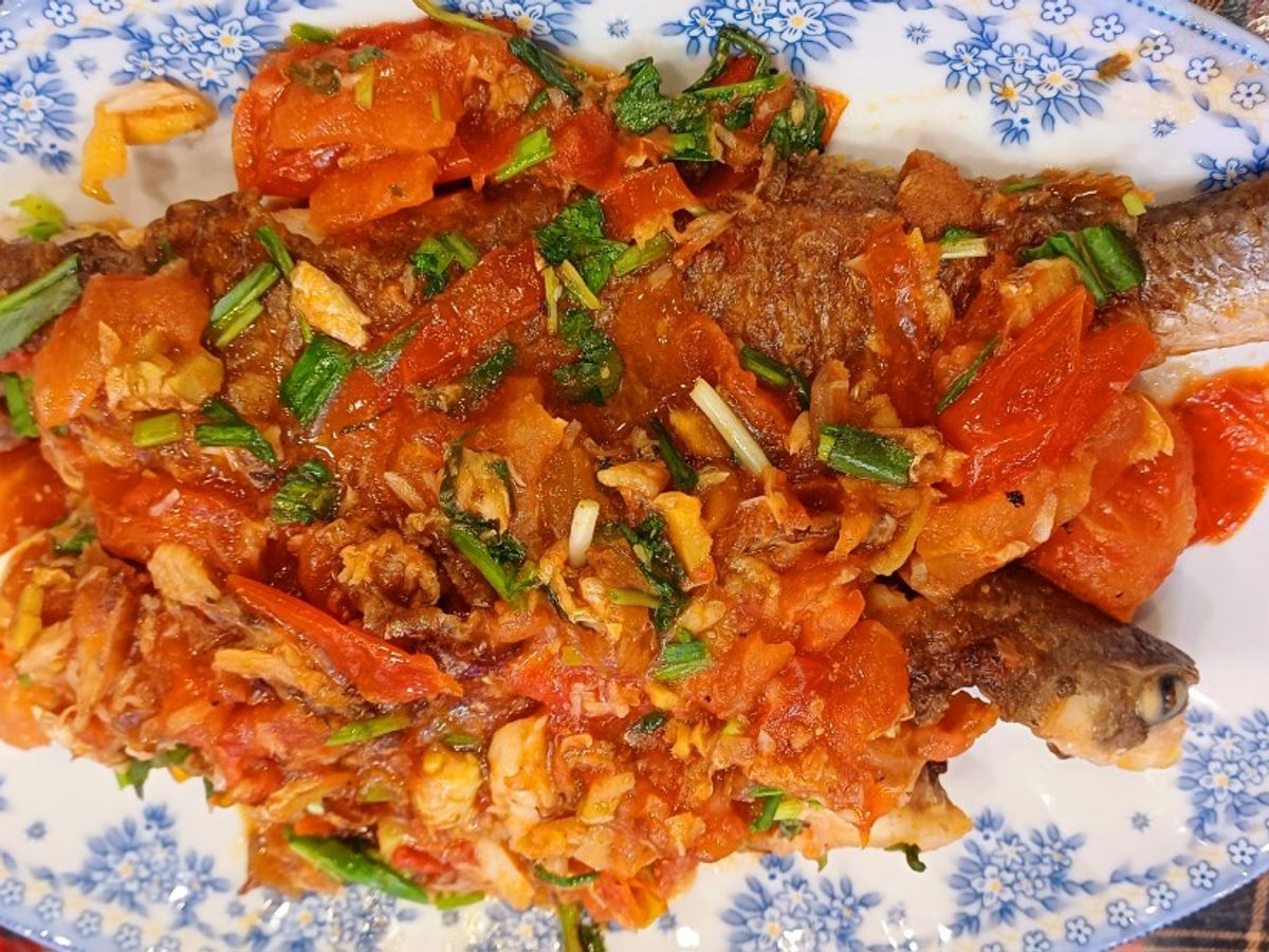 Cá nhụ sốt cà