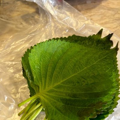Bước 2