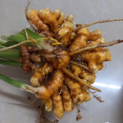 Bước 1