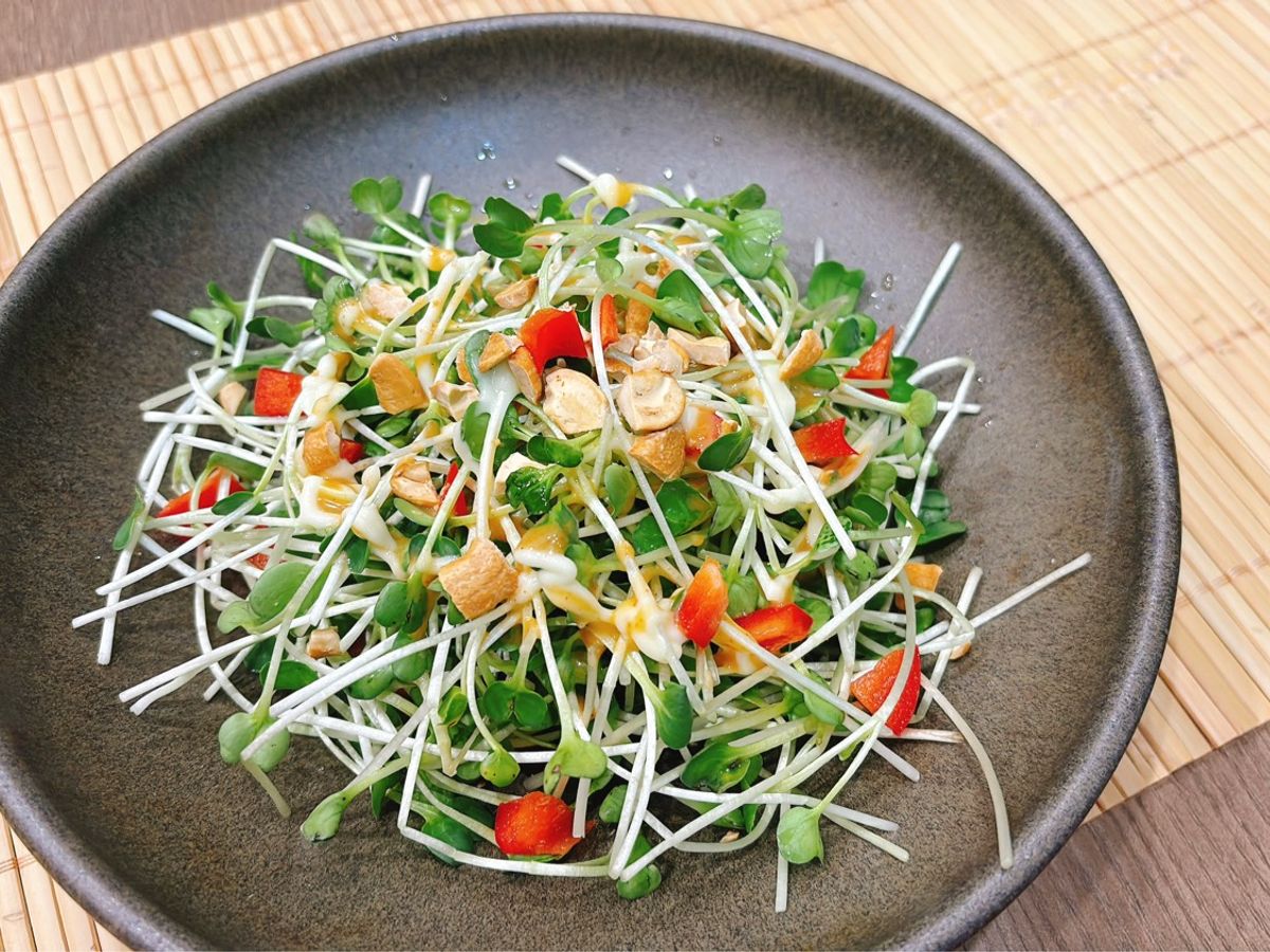 Salad Rau mầm