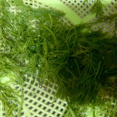 Bước 1