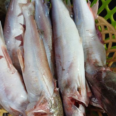 Bước 1