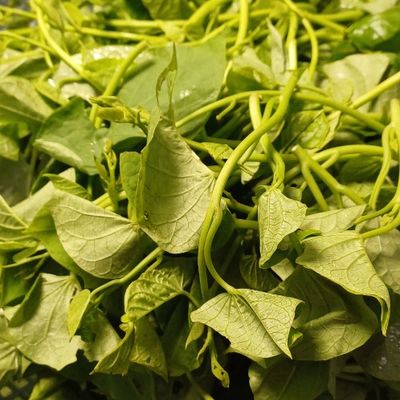 Bước 1