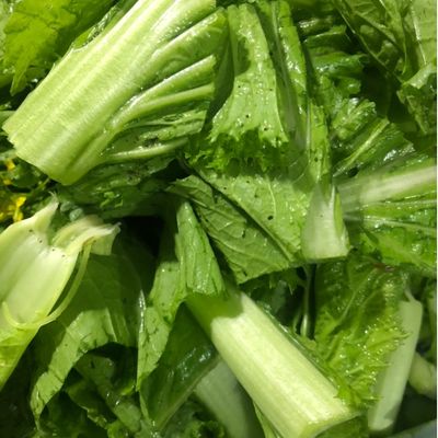 Bước 1