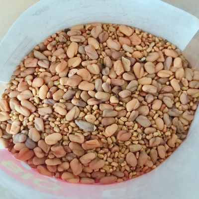 Bước 1