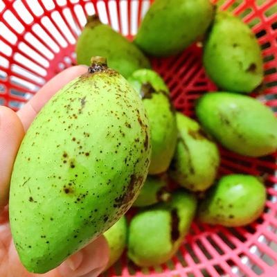 Bước 1