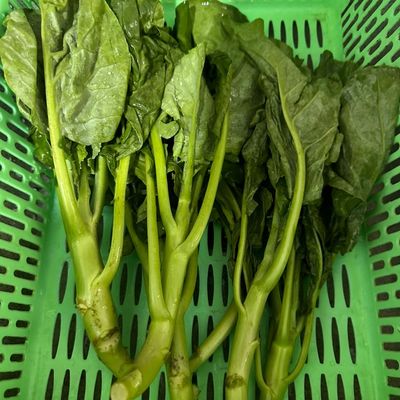 Bước 1