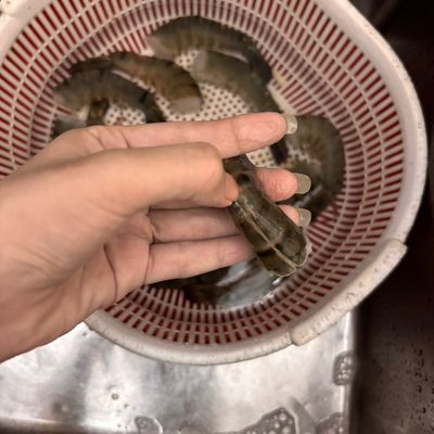 Bước 1