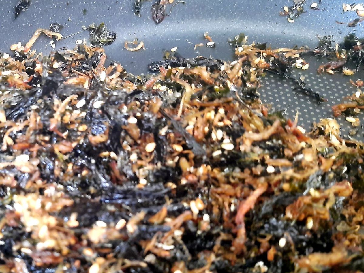 Rong biển ruốc chân nấm (món chay)