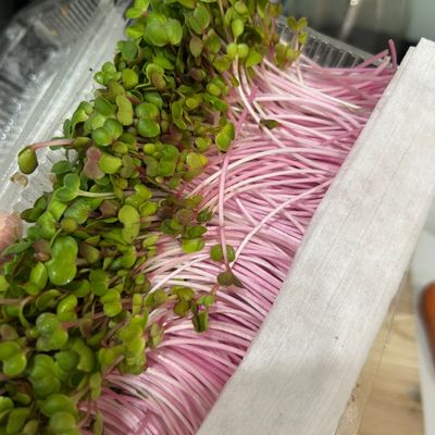 Bước 1