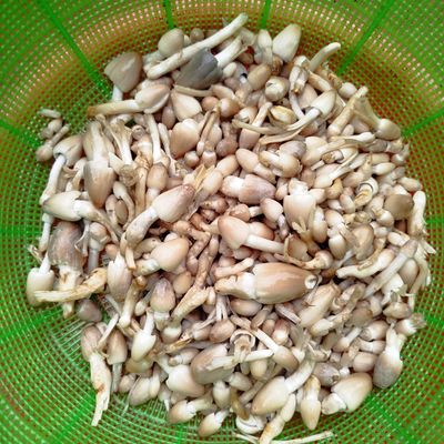 Bước 1