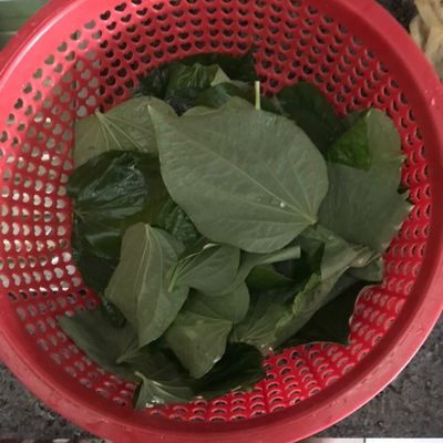 Bước 1