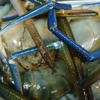 Bước 1