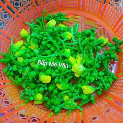 Bước 1