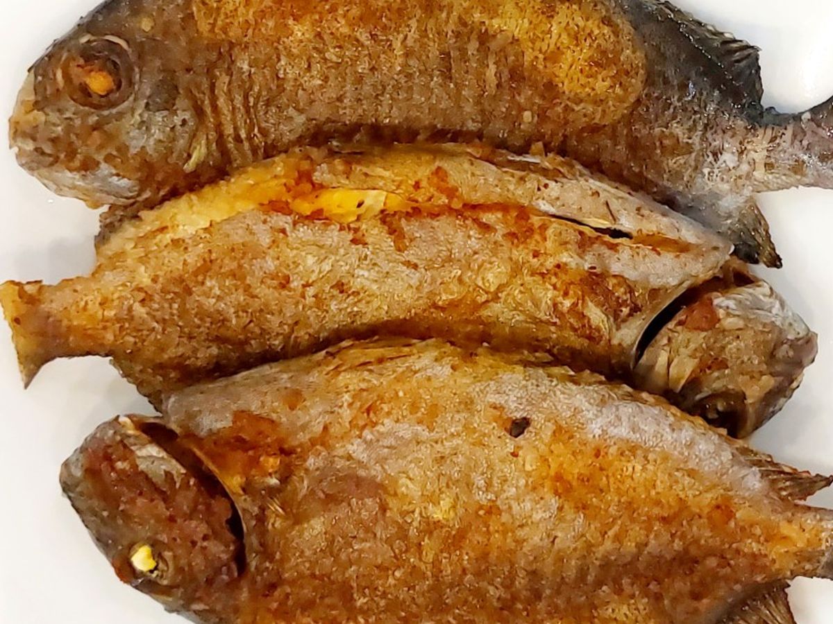 Cá dìa chiên