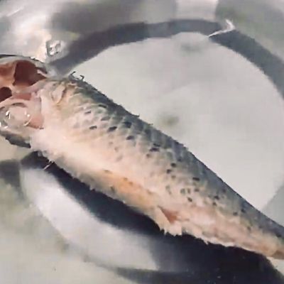 Bước 1