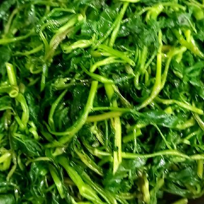 Bước 1