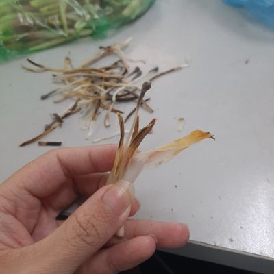 Bước 1