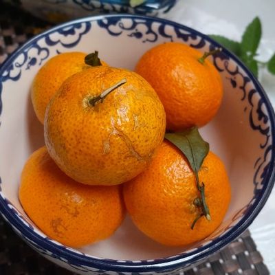 Bước 5