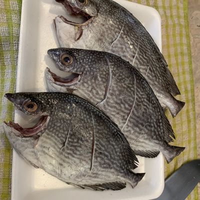 Bước 1