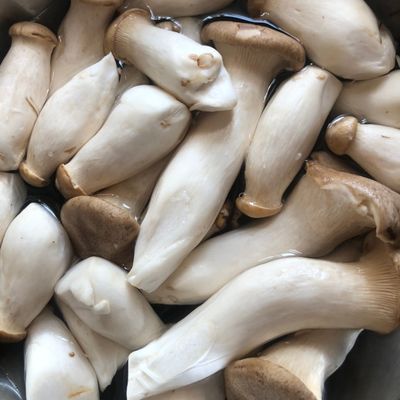 Bước 1