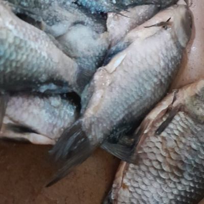 Bước 1