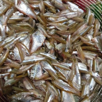Bước 1