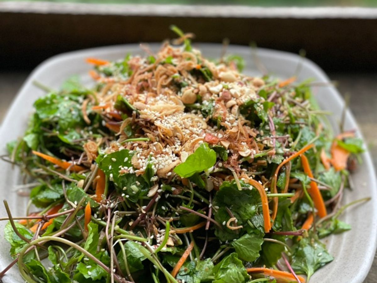 Gỏi rau má