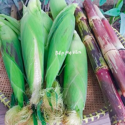 Bước 1