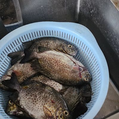 Bước 2