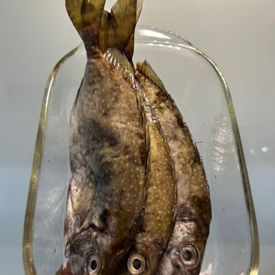 Bước 1