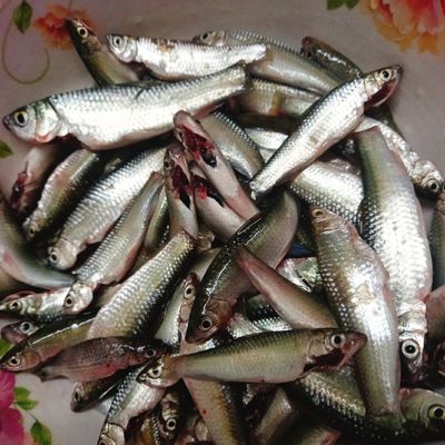 Bước 1